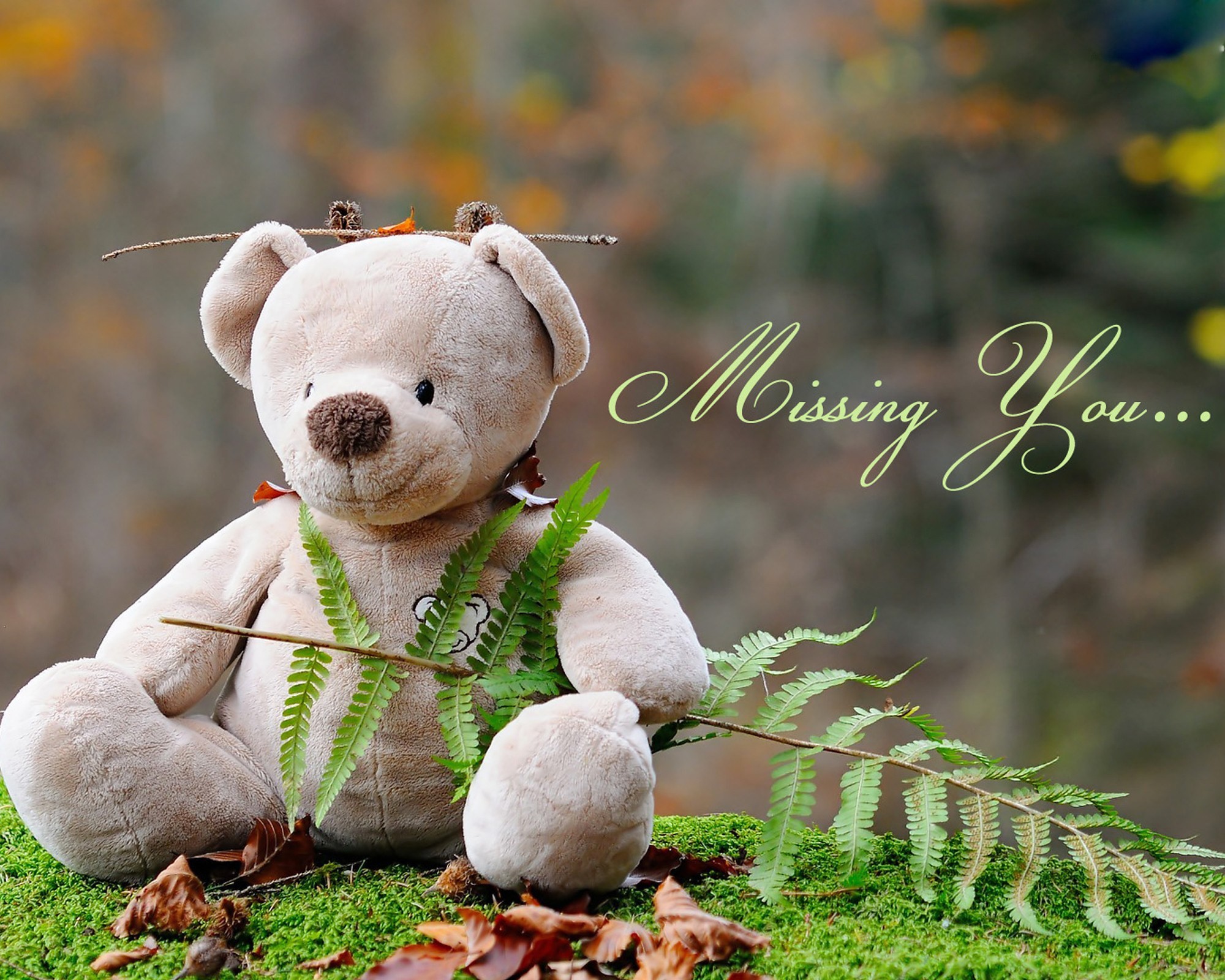 Koleksi Cemerlang 22+ Cute-teddy-bear-gift-hd-wallpaper