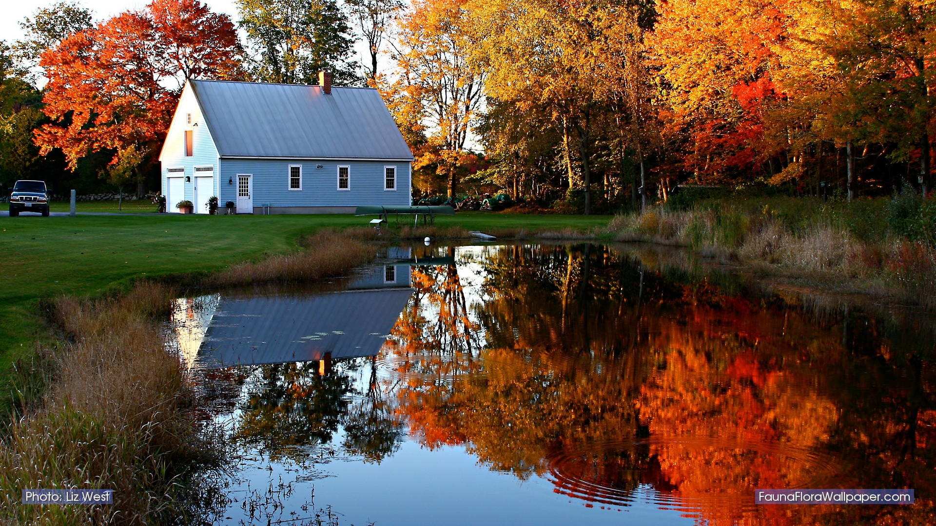 New england. Осень в новой Англии. Новая Англия. США деревня осень. Дом в осеннем лесу.