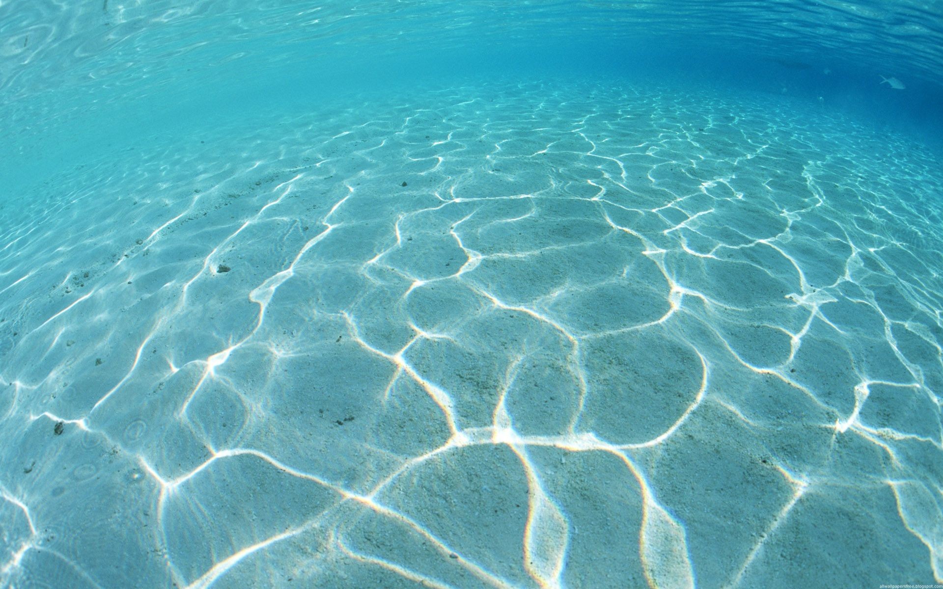 Caustics, Sandy seabed, Clear ocean, Sunlight reflections, Underwater, laptop background