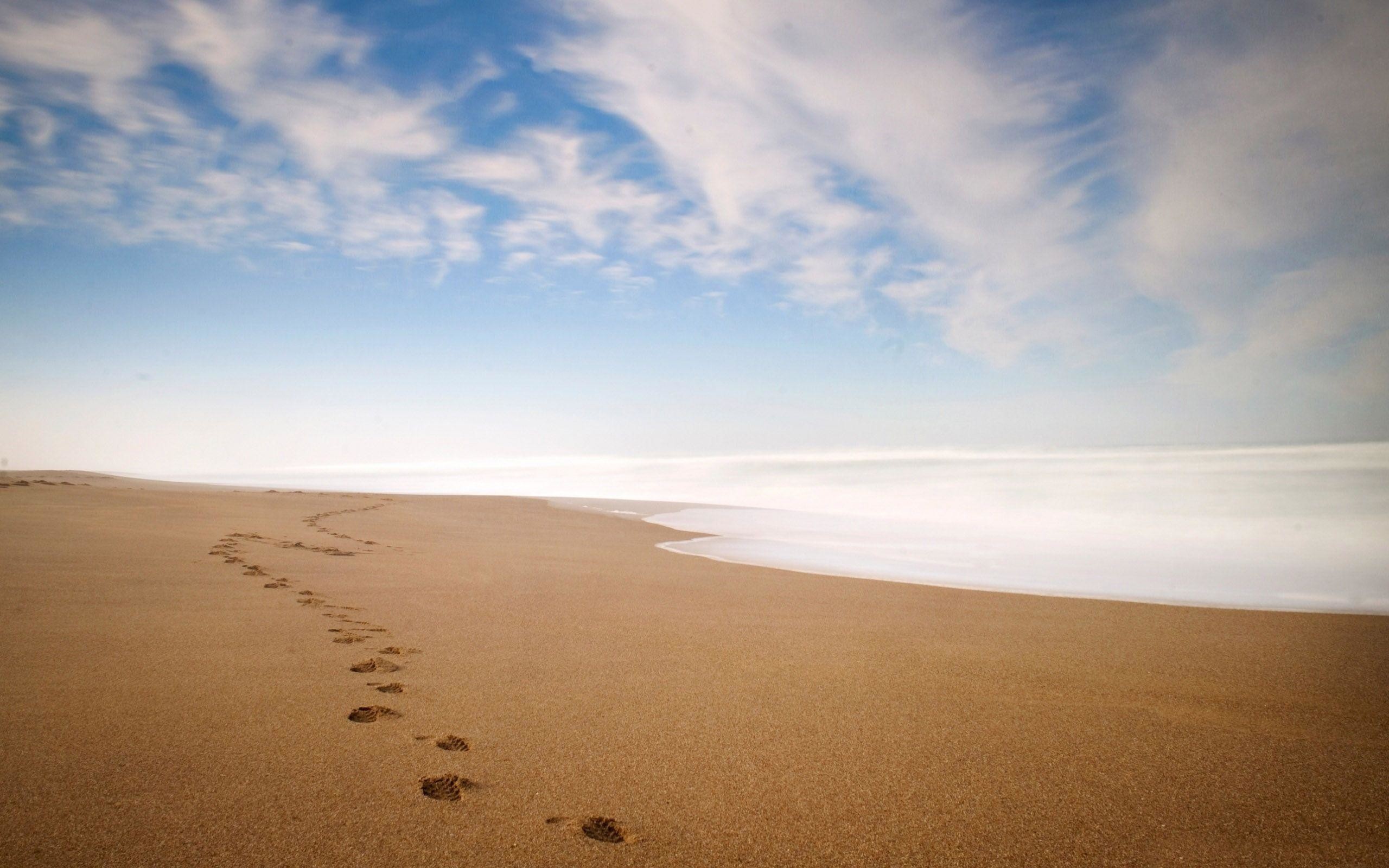 Footprints in the Sand Wallpaper ·① WallpaperTag