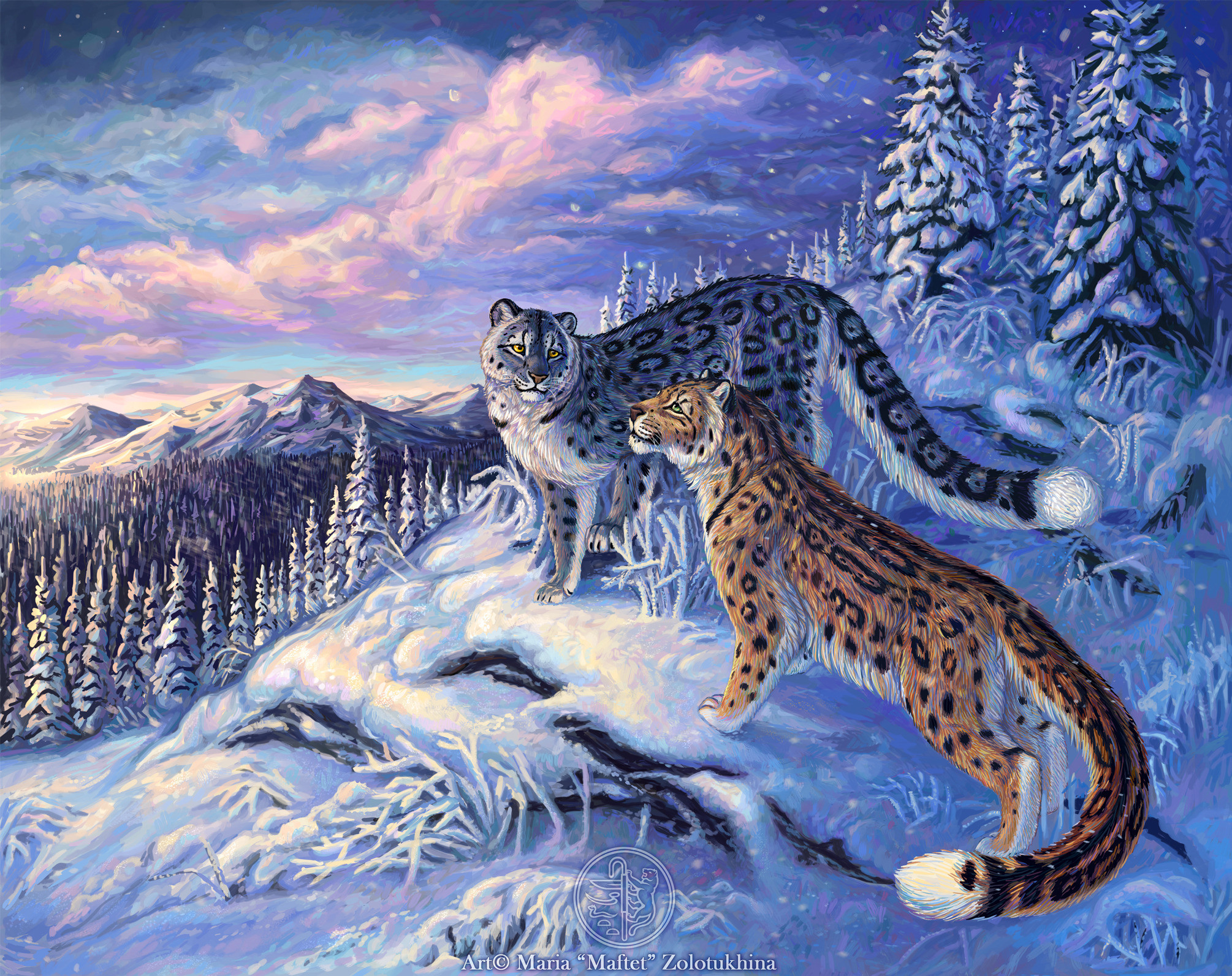 Рыст. Снежный Барс леопард Snow Leopard Ирбис. Джордж Шаллер снежные Барсы. Снежный Барс Данчурова.