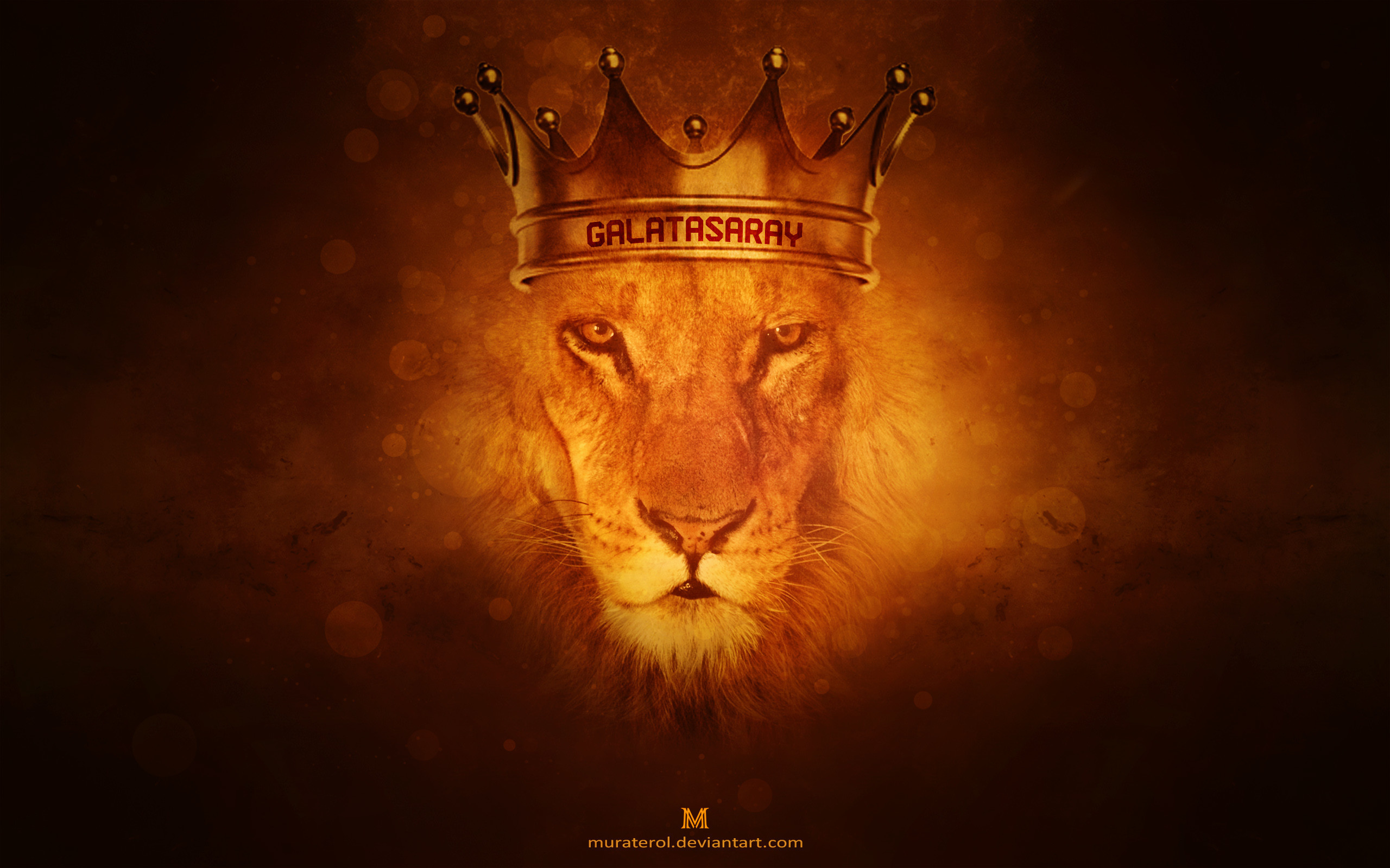 923409-best-lion-of-judah-wallpaper-2560x1600-for-ipad.jpg