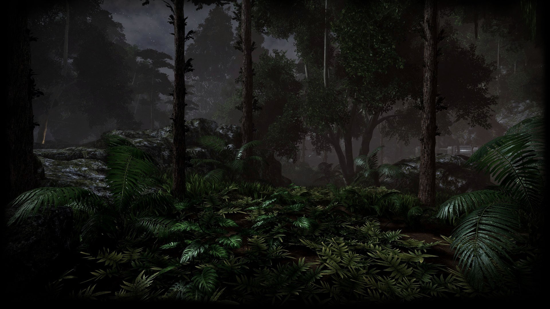 Джунгли документальные. Тропический лес. Темные джунгли. Ночные джунгли. Ночной лес.