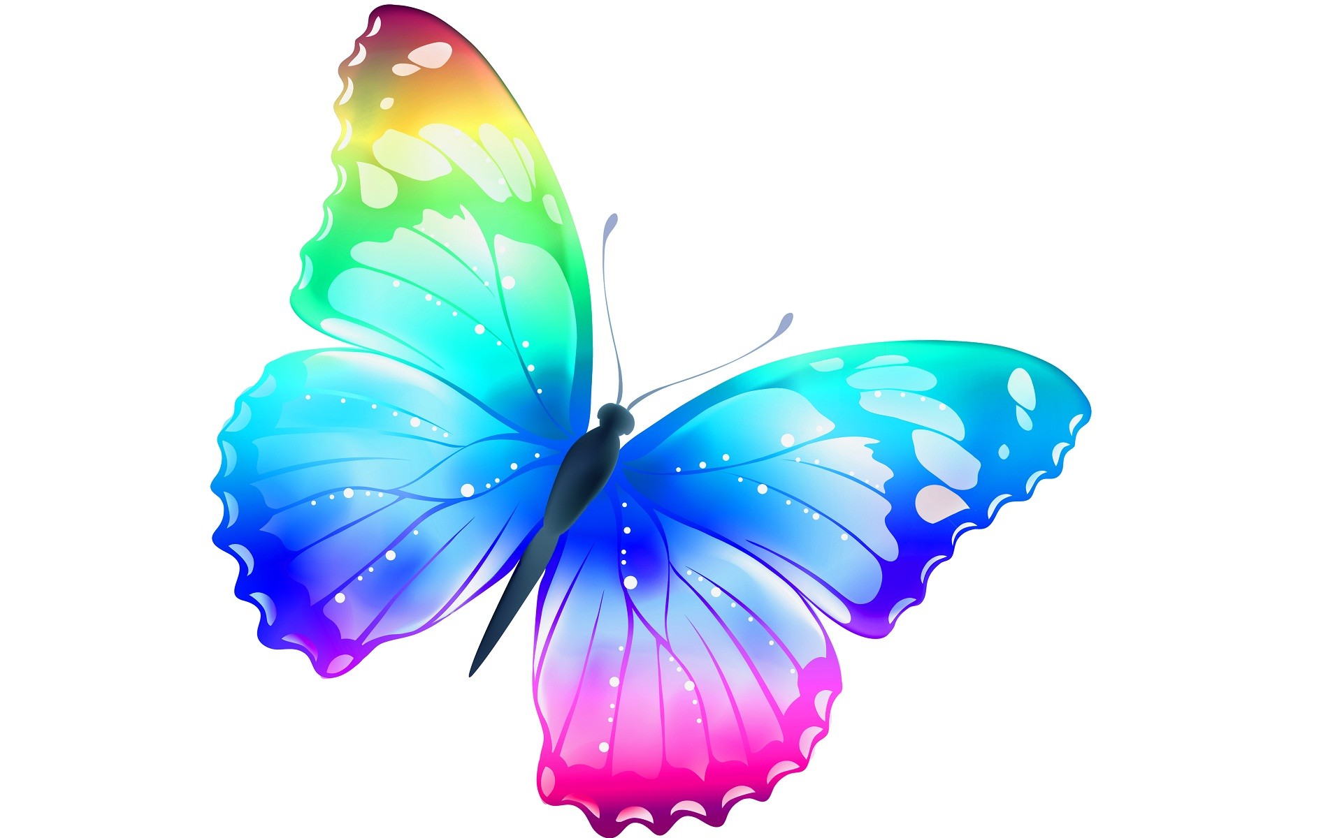 most beautiful butterfly wallpapers