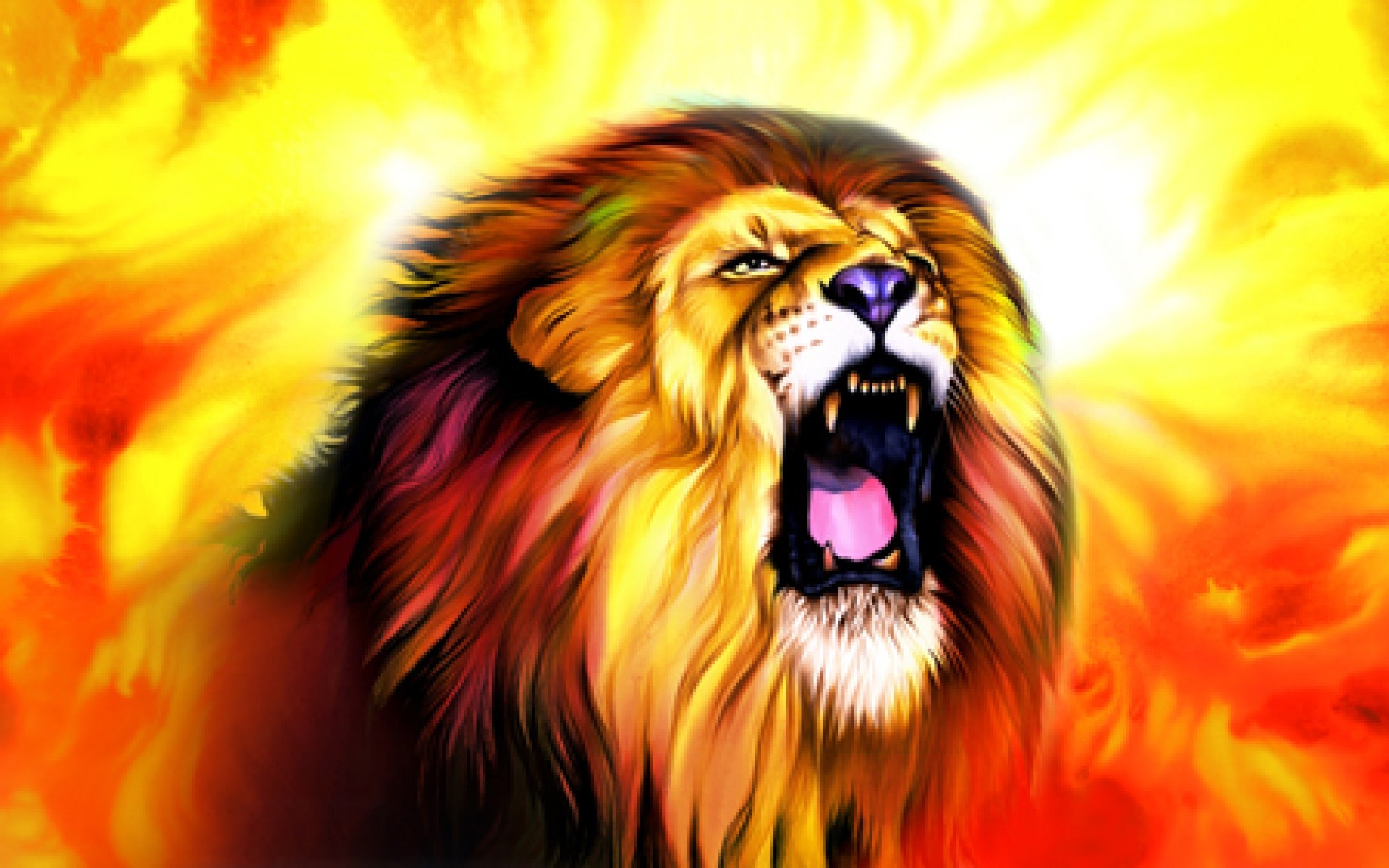  Lion  wallpaper  HD    Download  free  amazing HD  wallpapers  