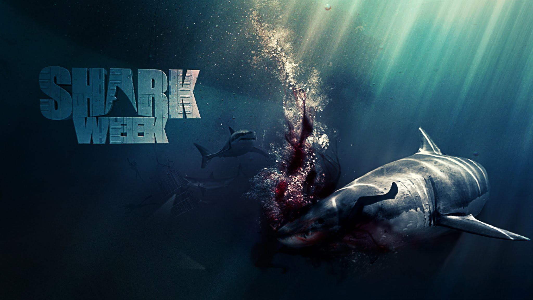 Megalodon Wallpapers ·① WallpaperTag