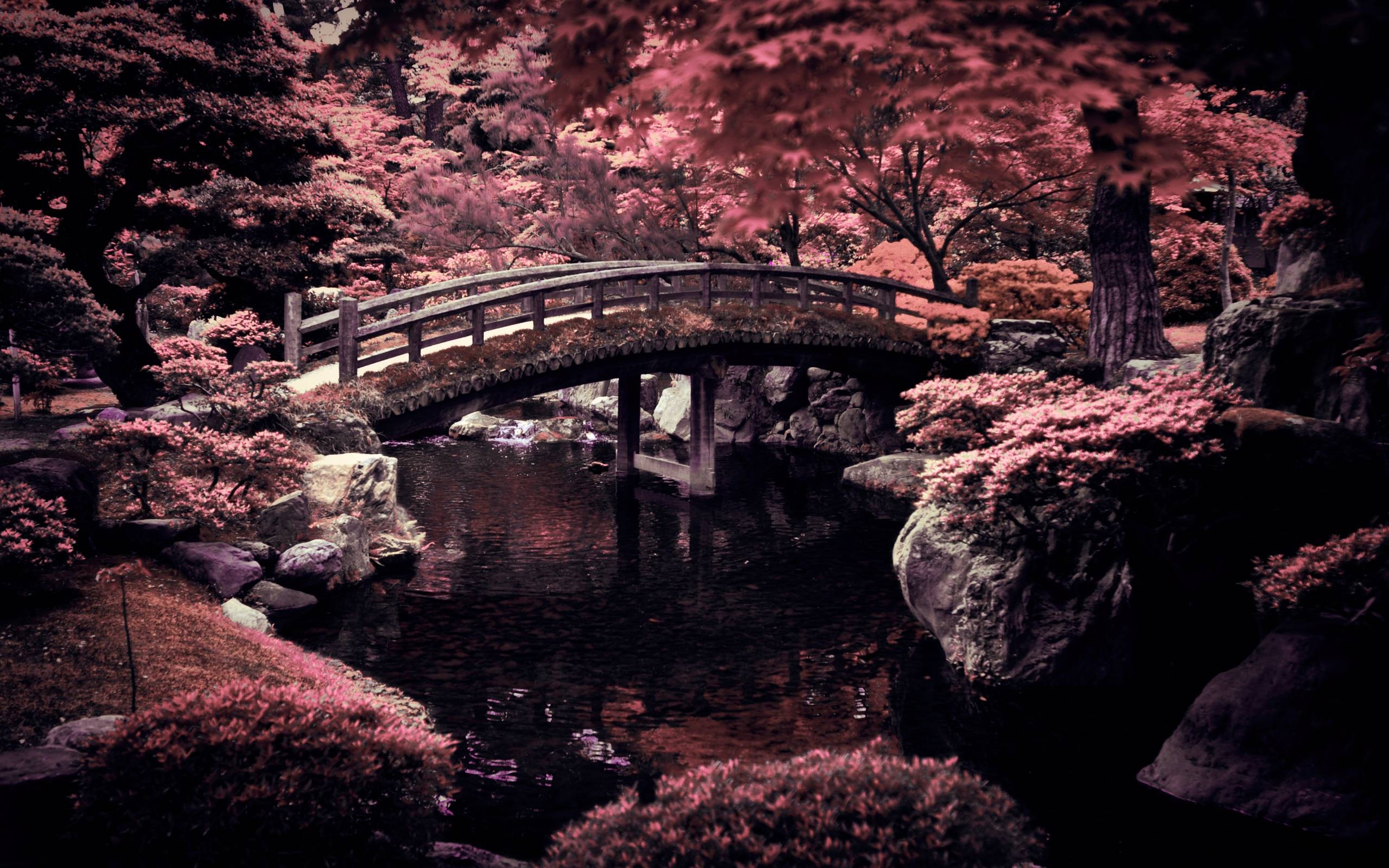 Japan wallpaper ·① Download free cool HD wallpapers of Japan for