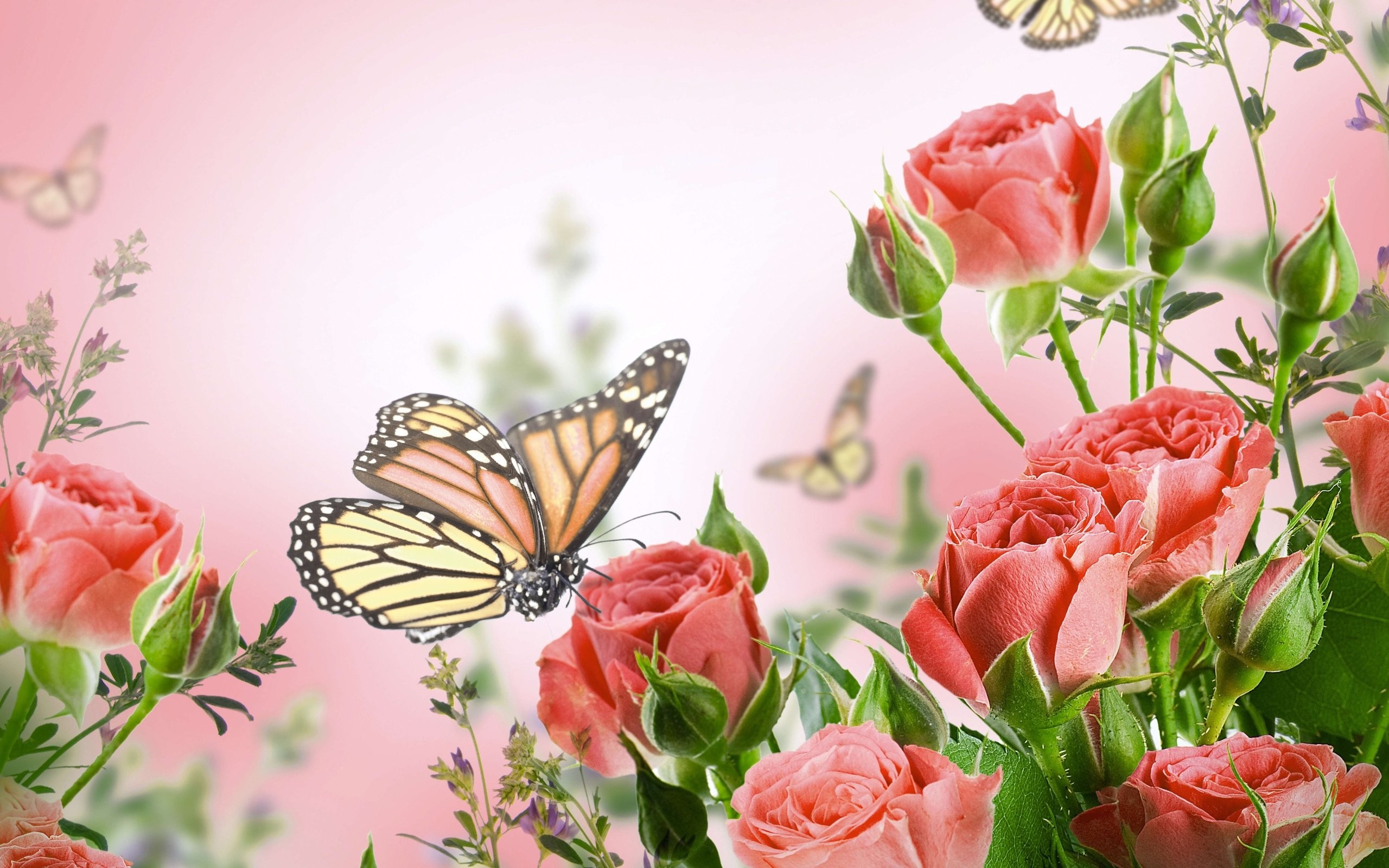 Butterfly and Flower Wallpaper ·① WallpaperTag