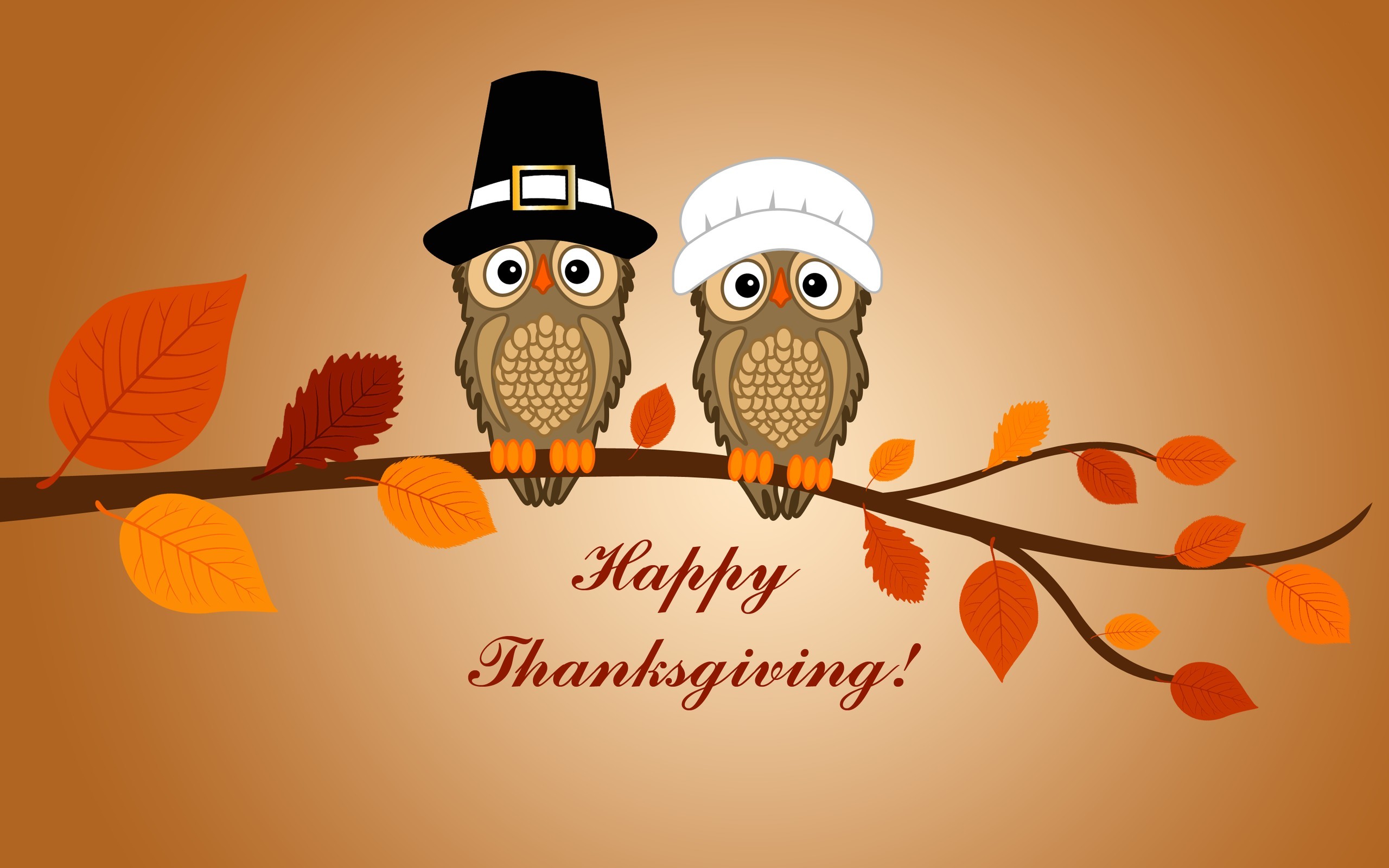 Happy Thanksgiving, Pilgrim owls, Branch, Autumn leaves, 2K 1600p, desktop wallpaper