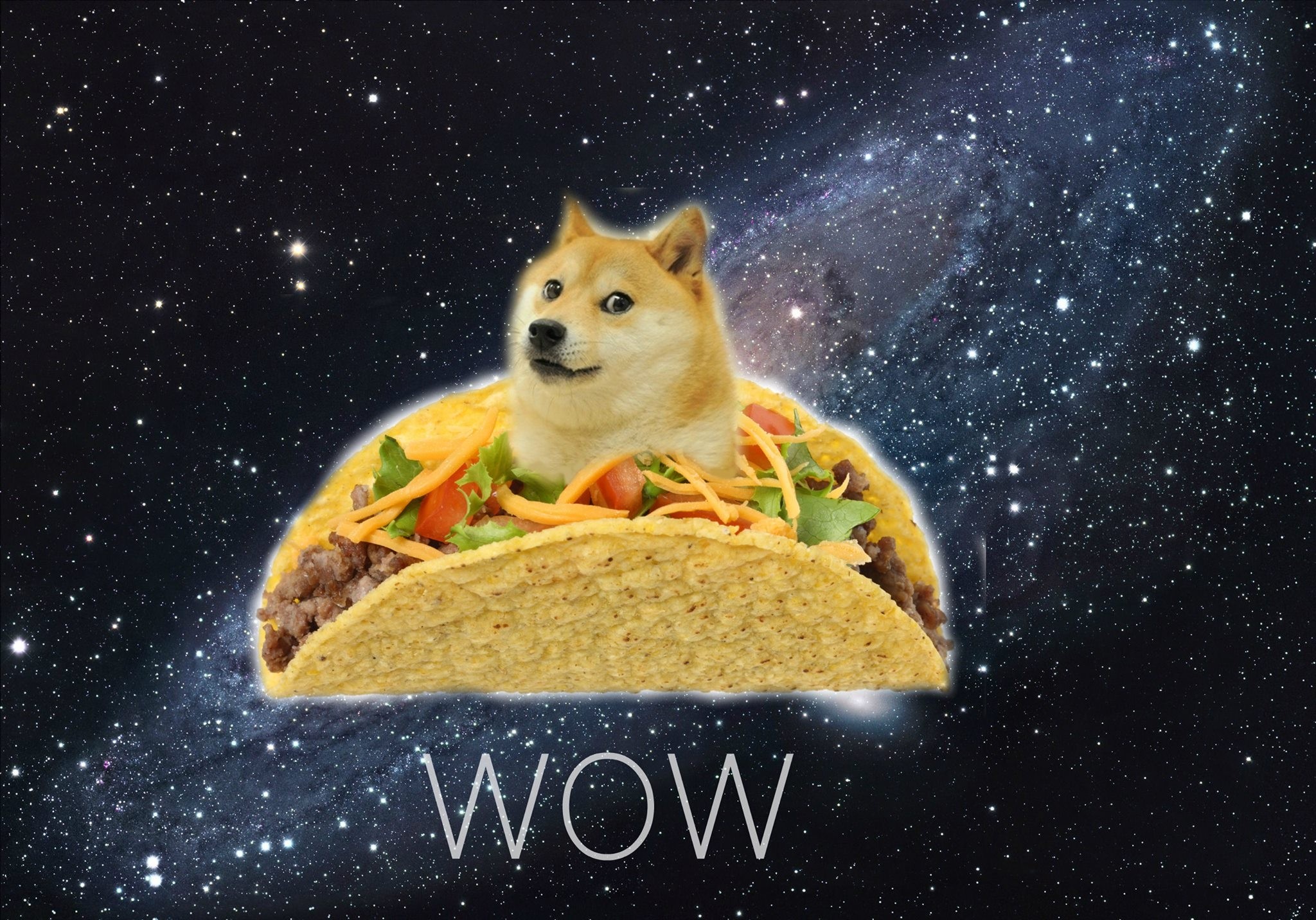 Doge background ·① Download free cool wallpapers for ...
