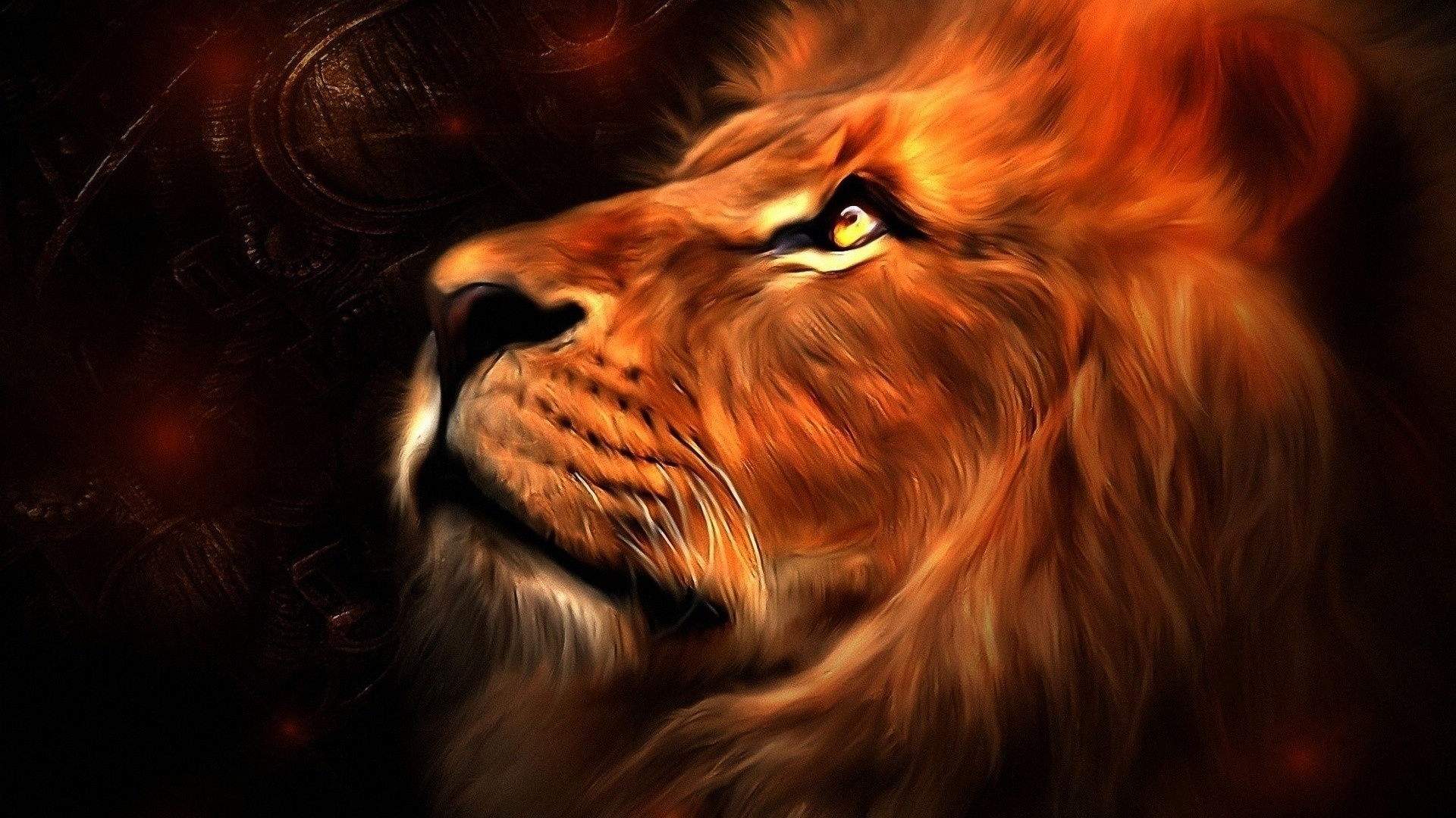 Fire Lion  Wallpapers    WallpaperTag