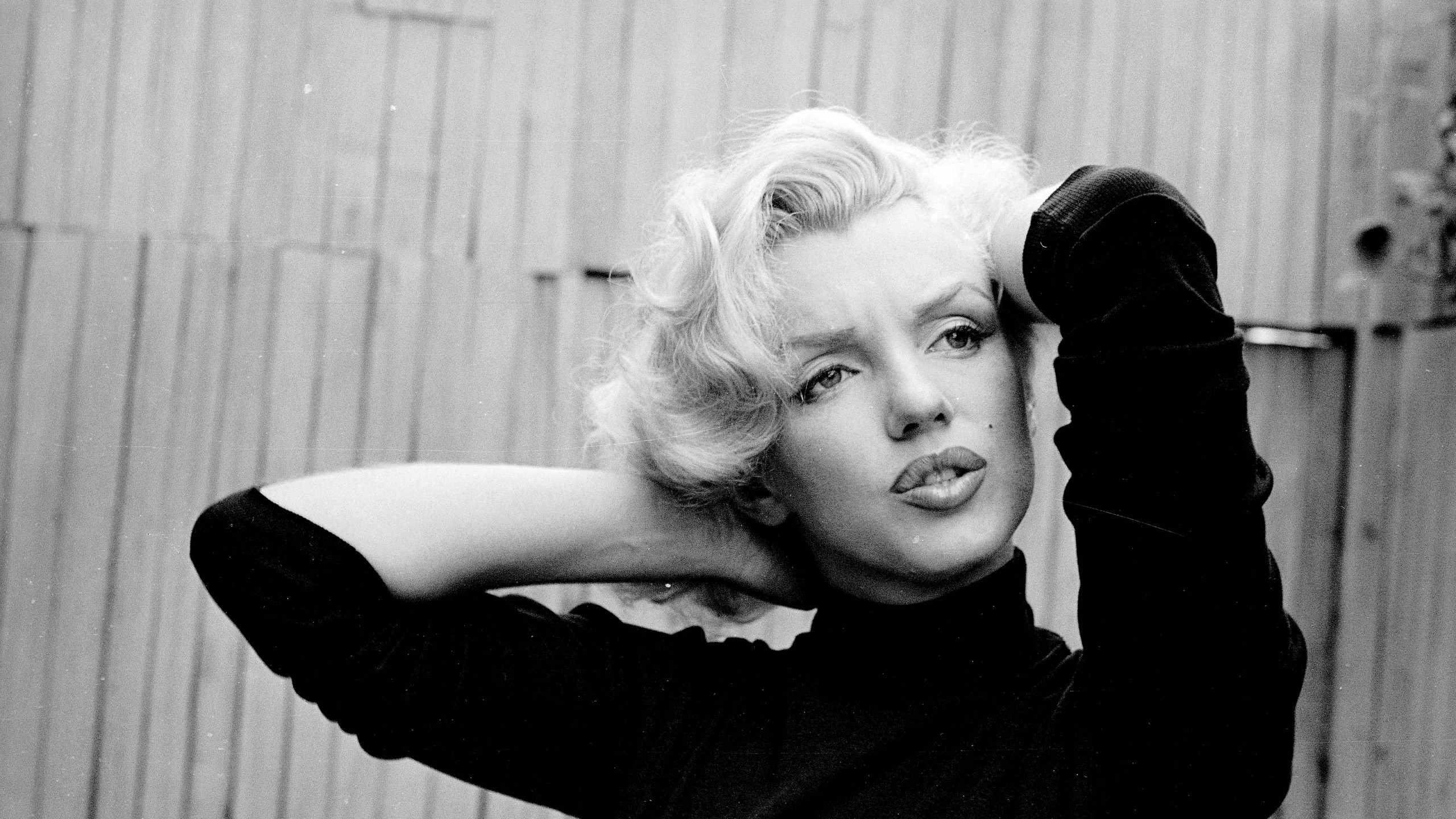 Marilyn Monroe wallpaper ·① Download