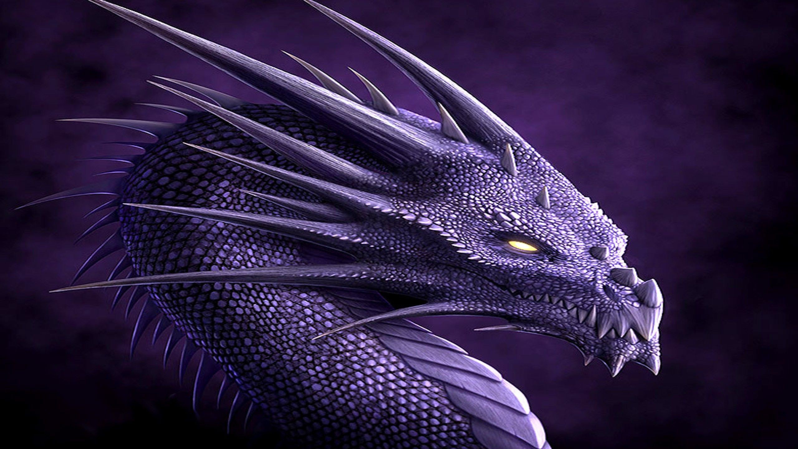  Dragon  wallpaper HD  1080p   Download free amazing 