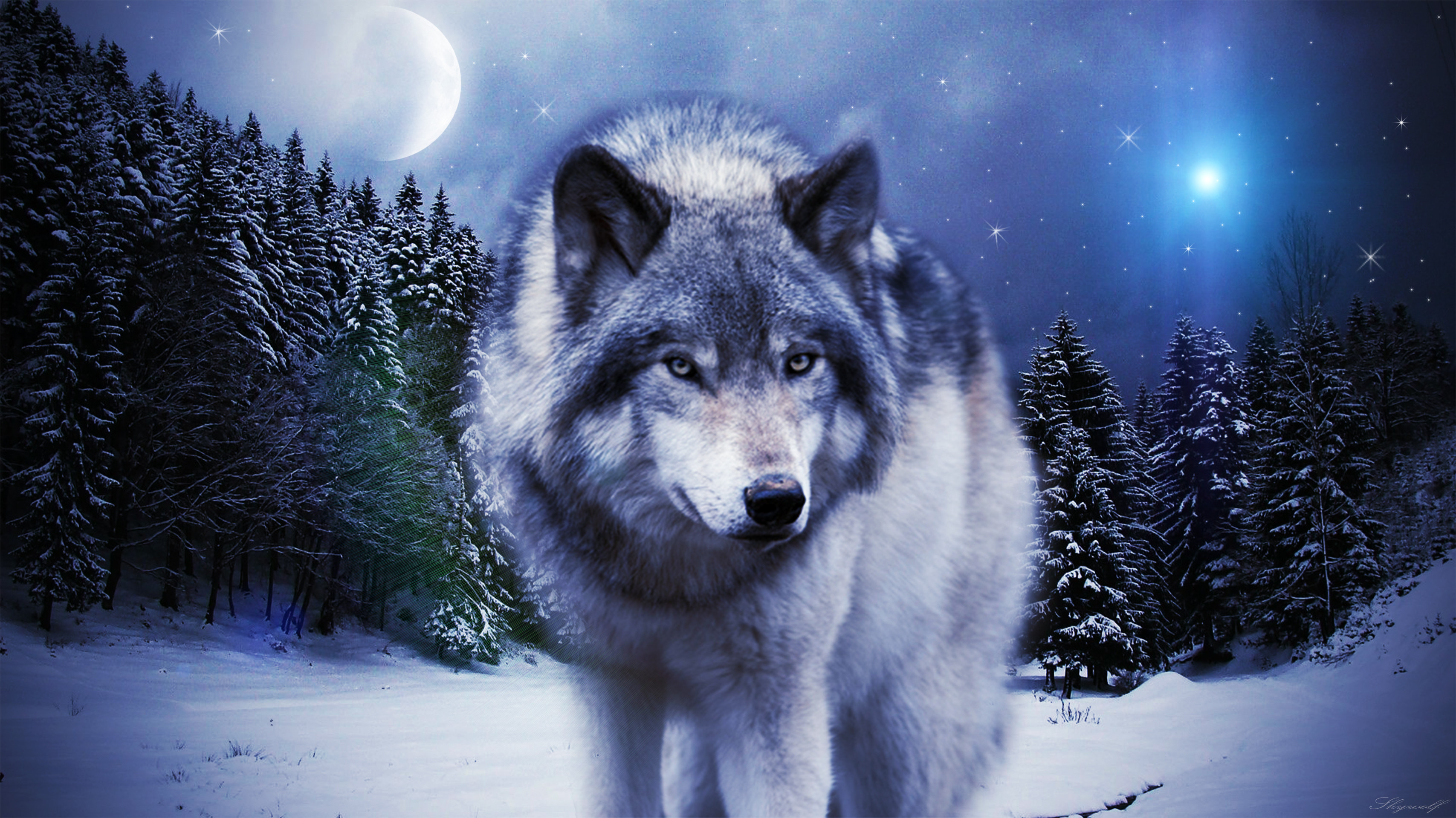 Timber Wolf Wallpaper ·① WallpaperTag