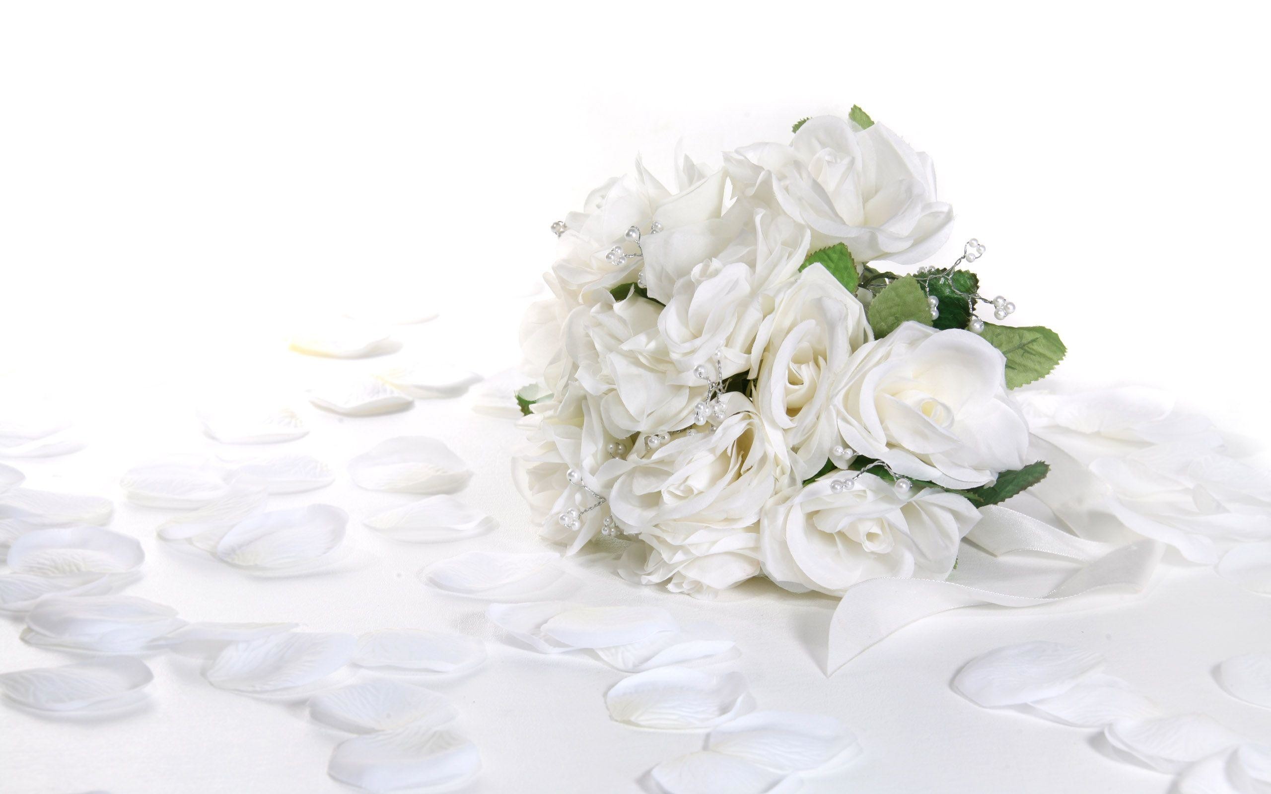 White roses, Bouquet, Petals, All white, High key, 2560x1600, desktop background
