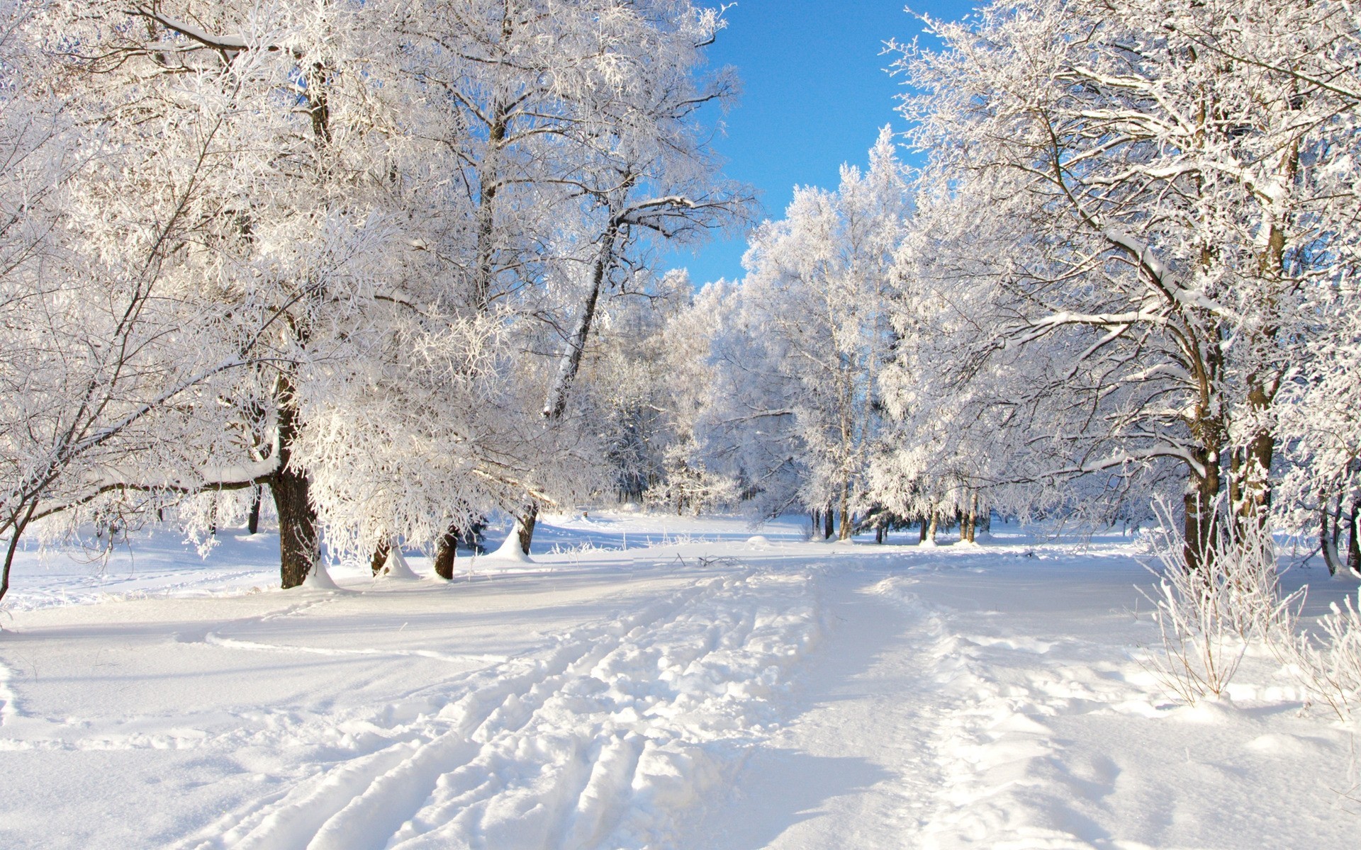 Winter Wallpaper HD Download Free Awesome Full HD Wallpapers
