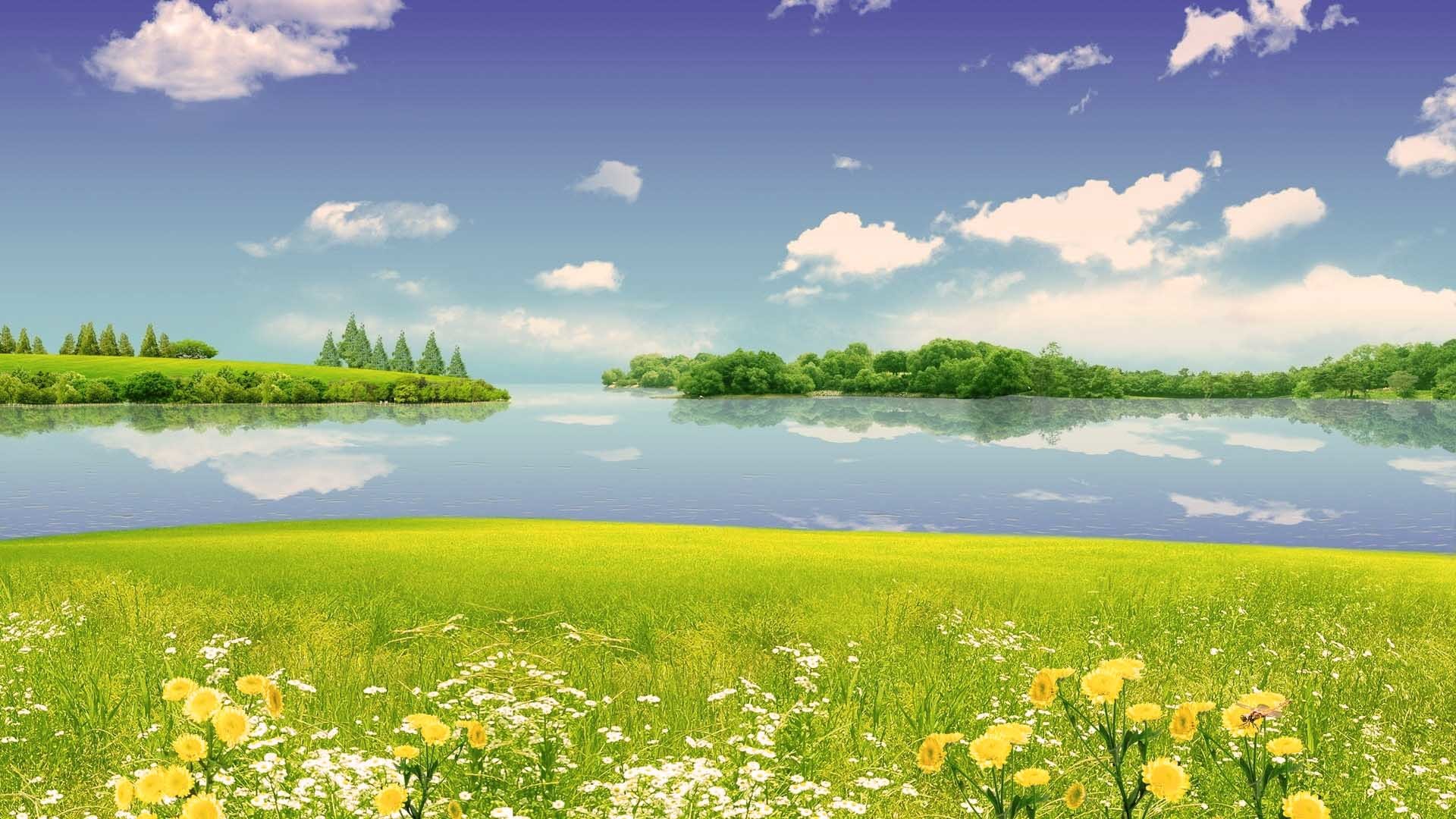 Summer landscape, Lakeside, Meadow, Wildflowers, Cumulus clouds, Sunny day, desktop wallpaper