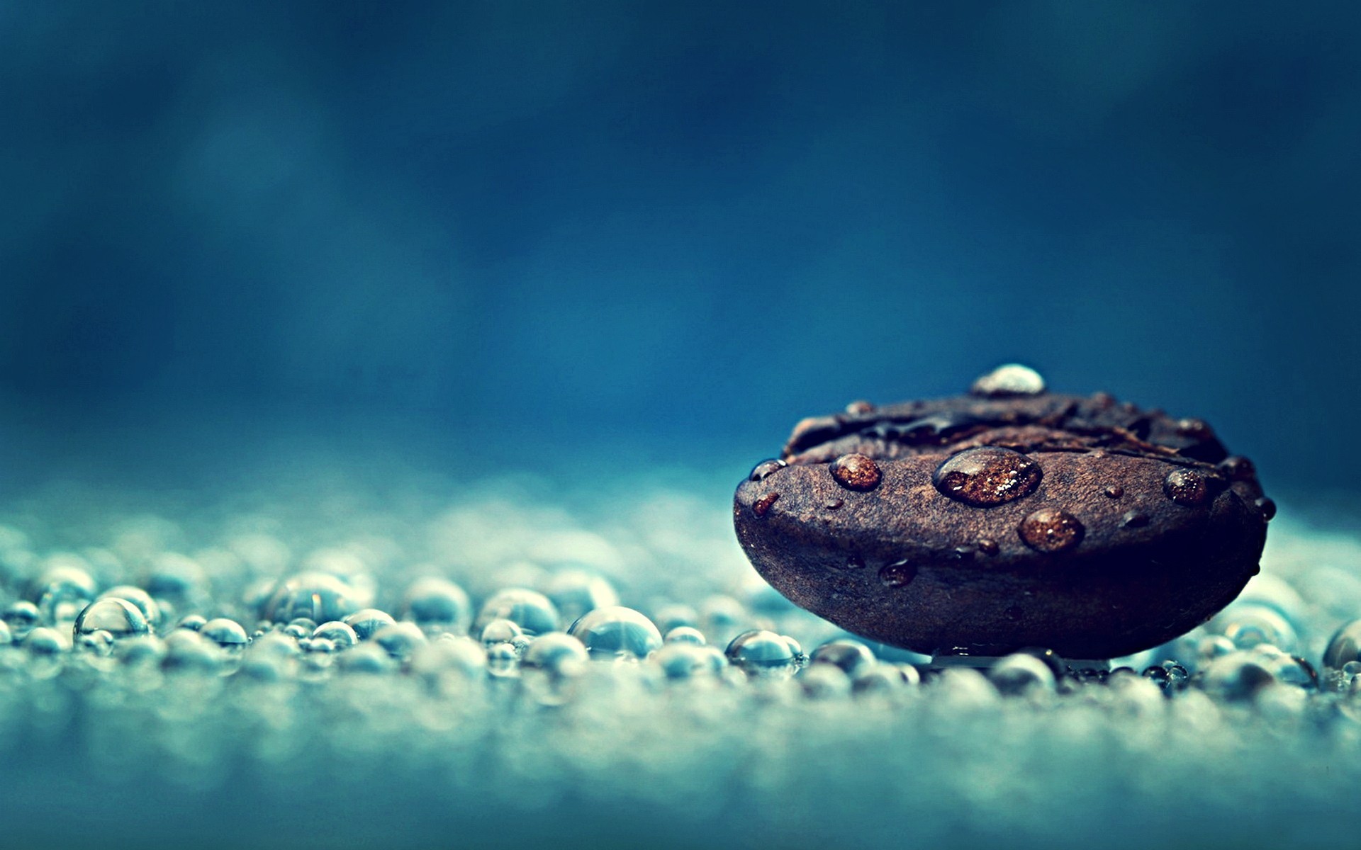 Coffee bean, Water drops, Macro photography, Bokeh, Bubbles, Close-up, wallpaper for your desktop