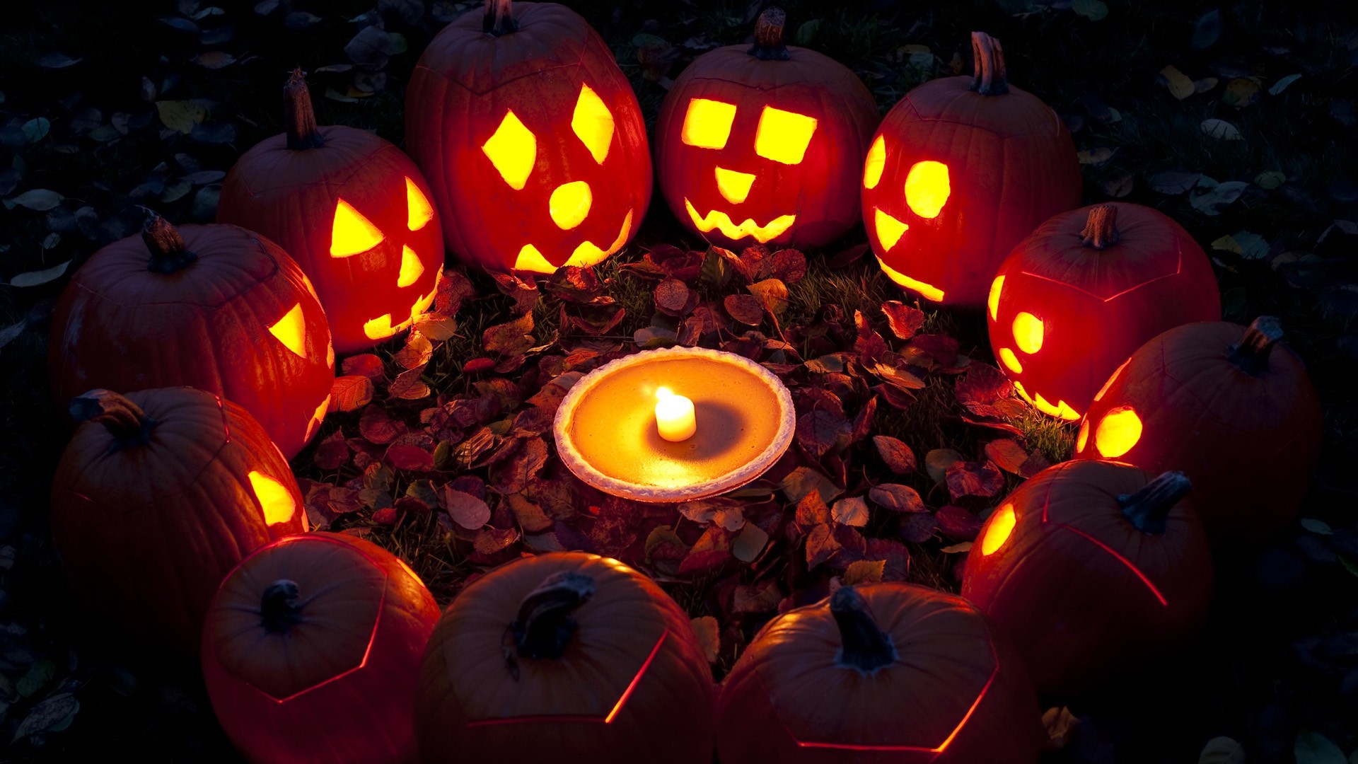 Hd Pumpkin Wallpaper Wallpapertag