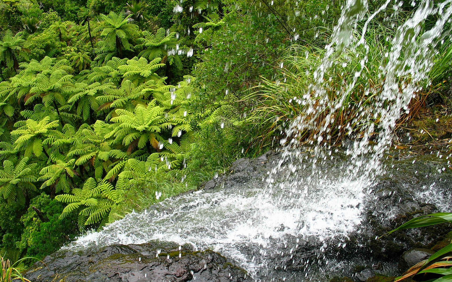Там вода течет. Вода ручей. Брызги водопада. Водопад дождь. Ручей водопад.