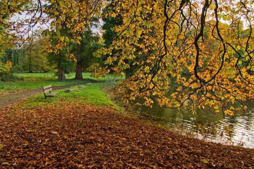 autumn images background