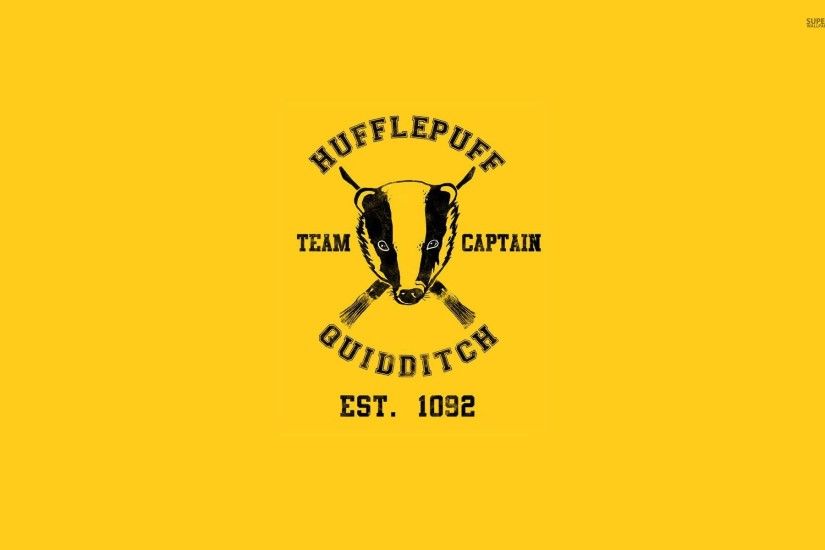 Hufflepuff Quidditch Team - Harry Potter
