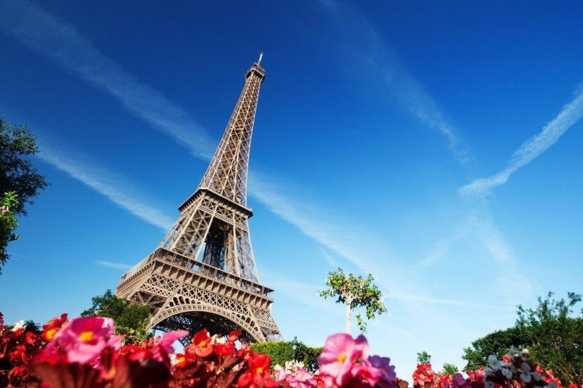Eiffel Tower, Building, Architecture, Flowers, Paris, France Wallpapers HD  / Desktop and Mobile Backgrounds