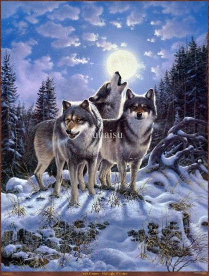 ... Nevada Wolf Pack Wallpaper - WallpaperSafari