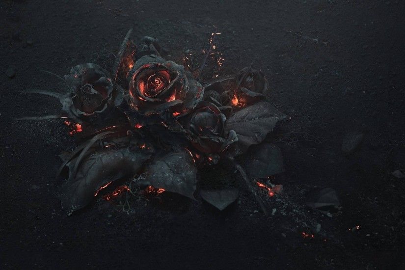 flowers, Rose, Fire, Gothic Wallpapers HD / Desktop and Mobile Backgrounds