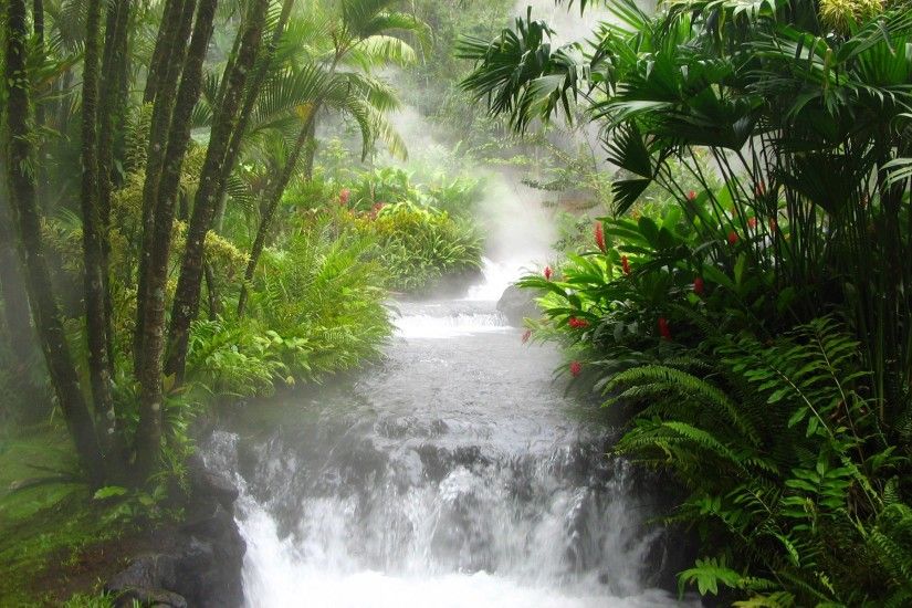 Waterfall in Costa Rica Rainforest Wallpaper Rivers Nature (63 Wallpapers)