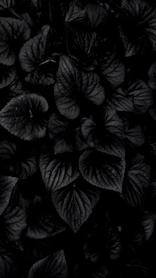 Dark Flowers 4K AMOLED Wallpaper