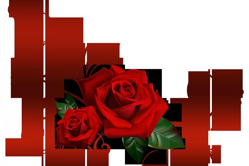 beautiful rose background 2200x1870