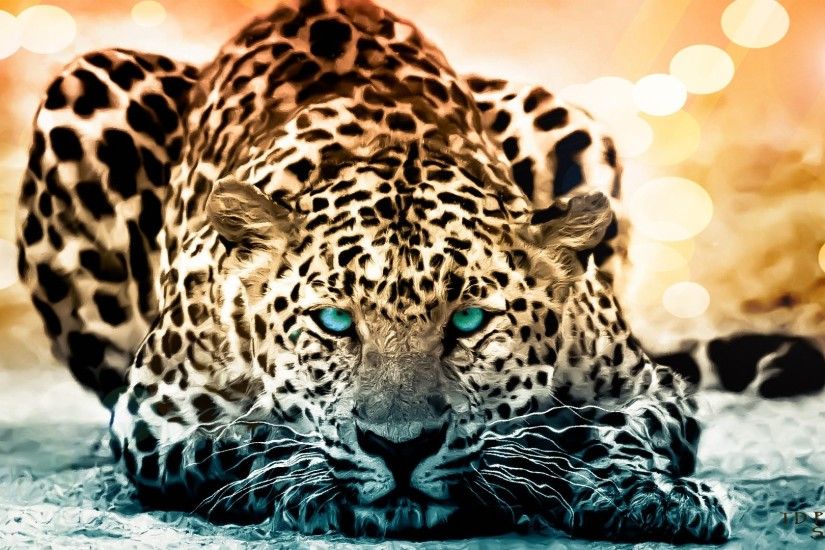 Jaguar Wallpapers | Animals Wallpapers Gallery - PC .