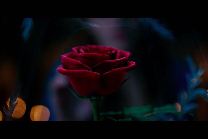 Rose In Beauty And The Beast 2017 Wallpaper Hd - DOWNLOAD FREE HD WALLPAPERS