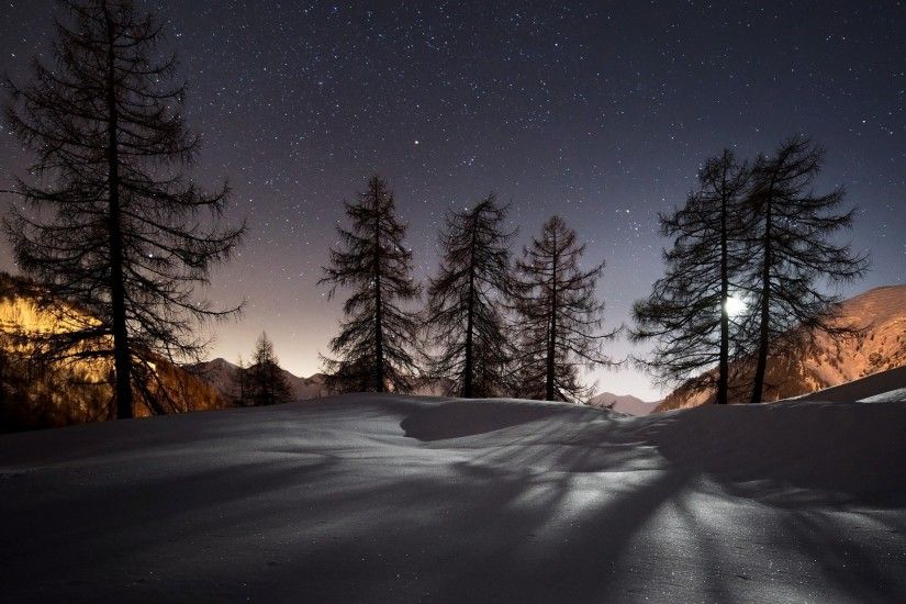 Preview wallpaper winter, trees, snow, night, landscape 3840x2160