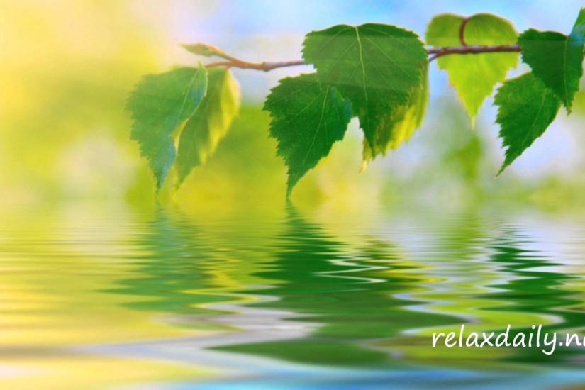 Calm Music - Slow, Peaceful, Background Music - relaxdaily NÂ°042 - YouTube