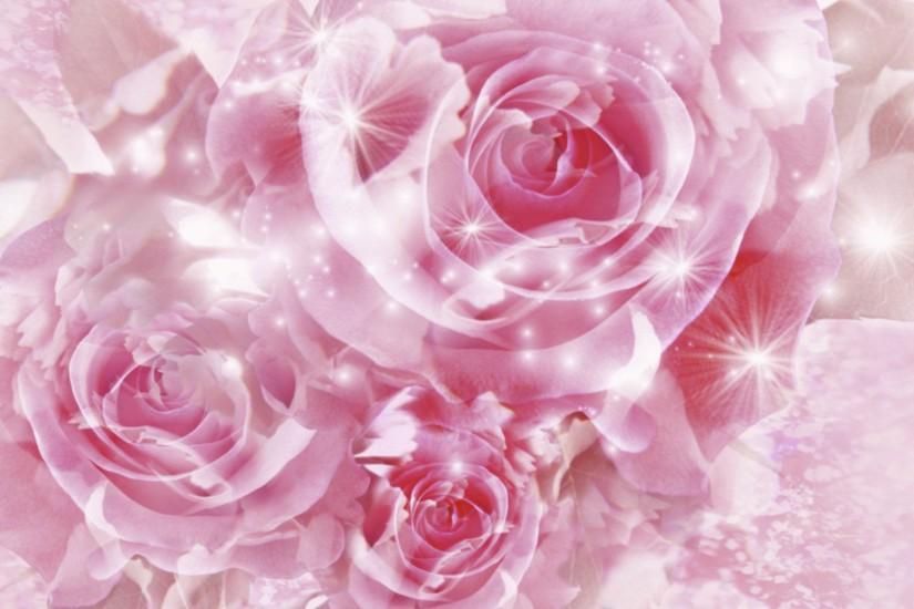 download free roses background 1920x1200 hd