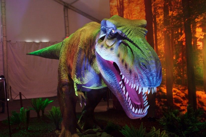 T-Rex Dinosaur wallpaper - Click picture for high resolution HD wallpaper
