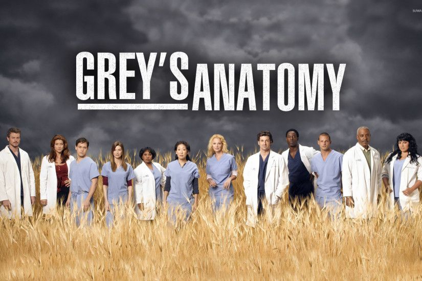 Grey's Anatomy [7] wallpaper 1920x1200 jpg