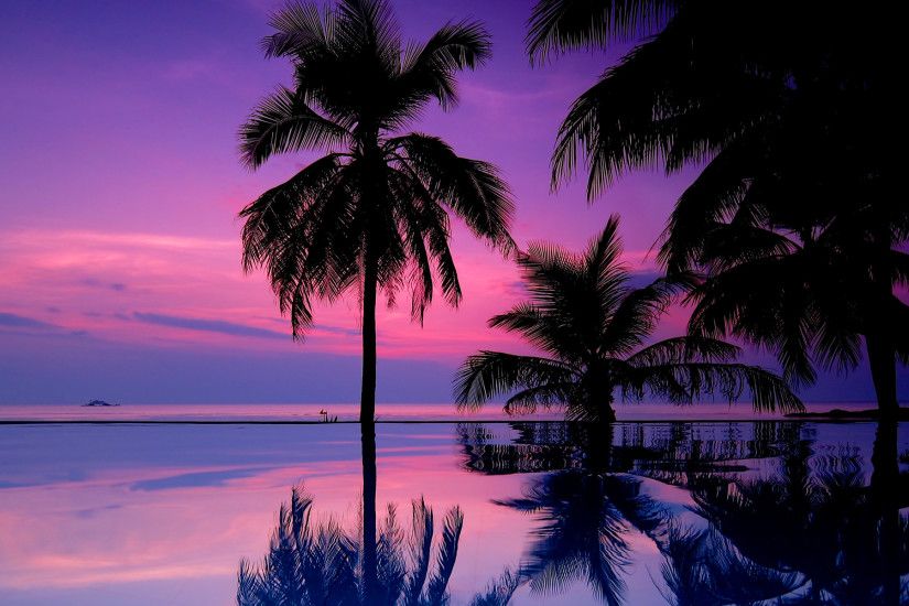 purple sunset wallpaper tropical. Â«Â«