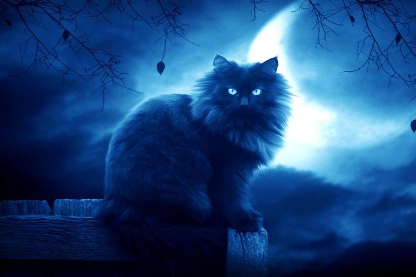 Elegant Look of Cat in Dark Moon Background