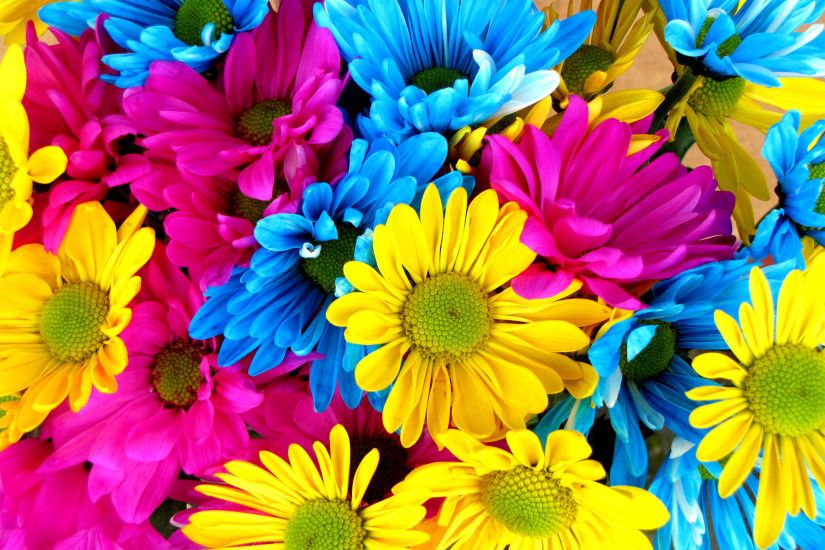 Colorful Flower Photo Wallpapers Wallpaper HD Desktop 2400x1800 px 1.41 MB