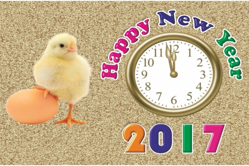 Most Funny Happy New Year 2017 Images. Wish your friends and family members  with hilarious and funny New Year quotes, greeting and pictures and lets  have ...