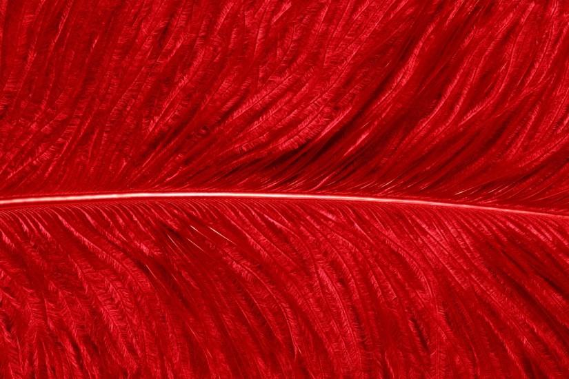 red feather texture, download photo, background, red ?????,