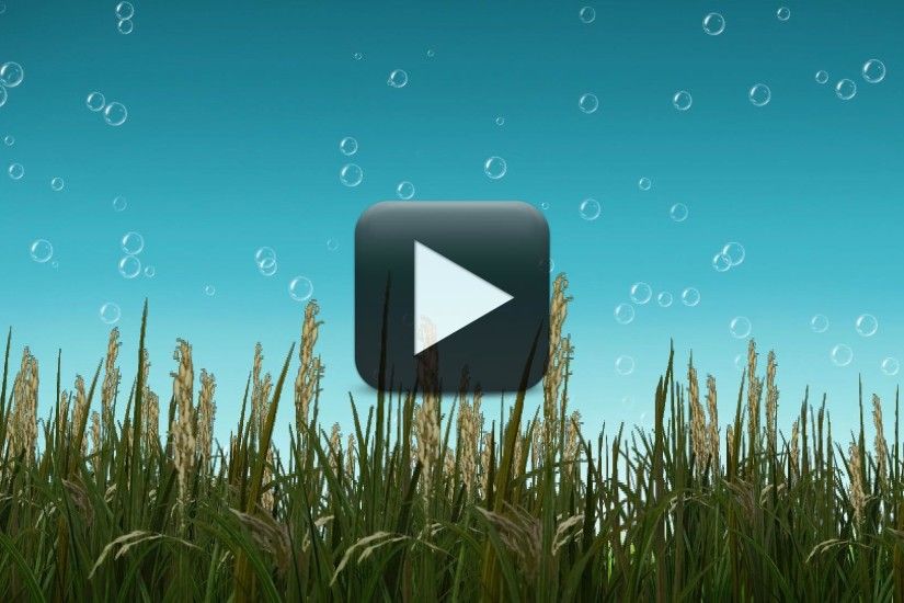 Free Nature BackGround Video with Cool Bubbles Animation | All Design  Creative