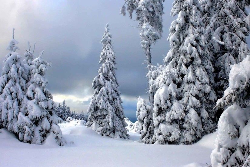 Trees Nature Landscape Winter Snow Desktop Wallpaper Windows 7