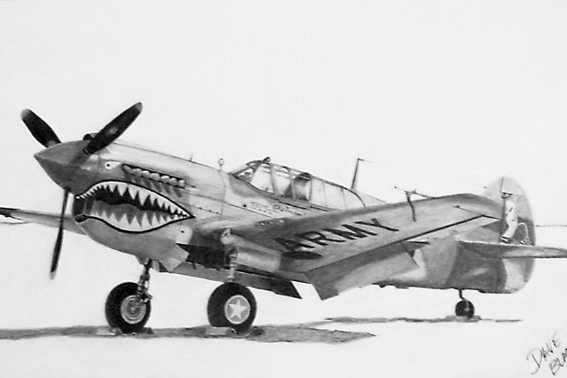 ... Curtiss P-40 Warhawk by dave3422
