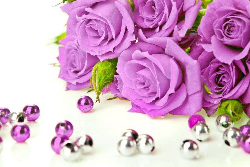 ... Purple Roses Wallpapers ...