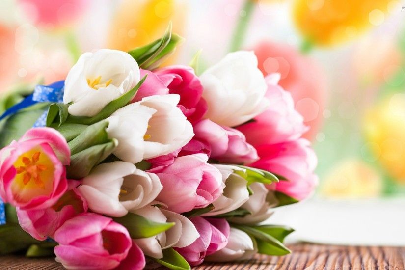 Pink and white tulips wallpaper