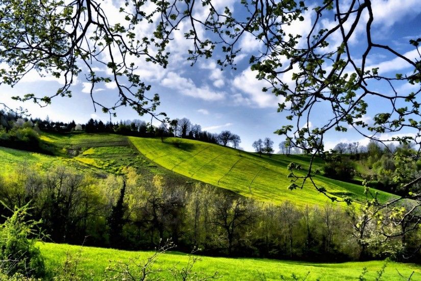 Preview wallpaper spring, fields, trees, greenery 1920x1080
